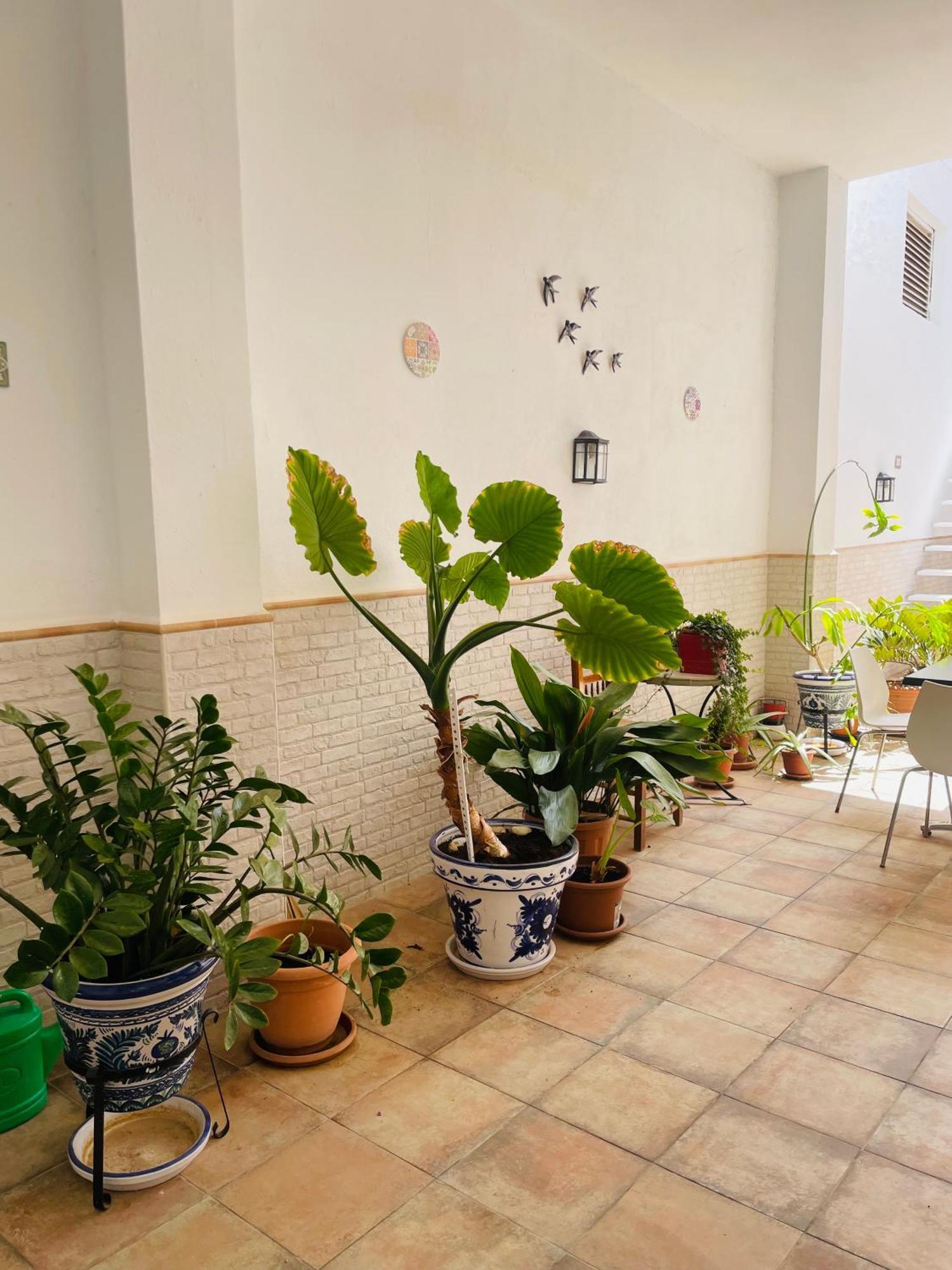 Patio De Los Barberos Valle de Abdalagís 외부 사진